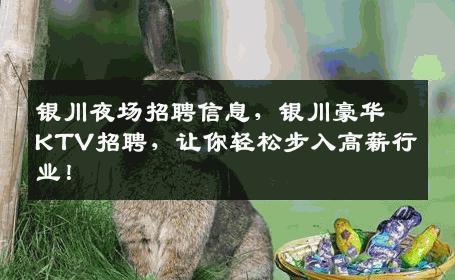 银川夜场招聘信息，银川豪华KTV招聘，让你轻松步入高薪行业！