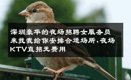 深圳豪华的夜场招聘女服务员来找我给你安排合适场所,夜场KTV直招无费用