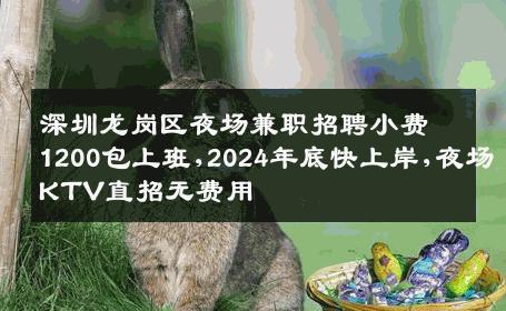 深圳龙岗区夜场兼职招聘小费1200包上班,2024年底快上岸,夜场KTV直招无费用