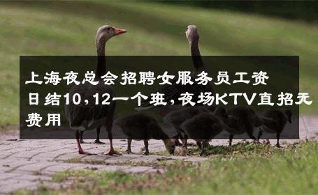 上海夜总会招聘女服务员工资日结10,12一个班,夜场KTV直招无费用