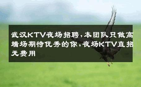武汉KTV夜场招聘,本团队只做高端场期待优秀的你,夜场KTV直招无费用