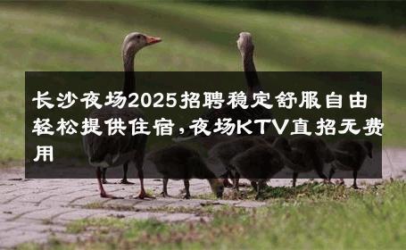 长沙夜场2025招聘稳定舒服自由轻松提供住宿,夜场KTV直招无费用