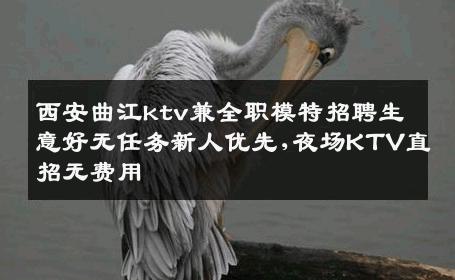 西安曲江ktv兼全职模特招聘生意好无任务新人优先,夜场KTV直招无费用