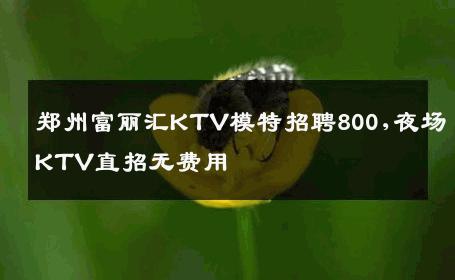 郑州富丽汇KTV模特招聘800,夜场KTV直招无费用
