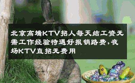 北京高端KTV招人每天结工资无需工作经验待遇好报销路费,夜场KTV直招无费用