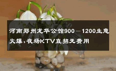 河南郑州龙华公馆900－1200生意火爆,夜场KTV直招无费用