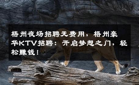 梧州夜场招聘无费用，梧州豪华KTV招聘：开启梦想之门，轻松赚钱！