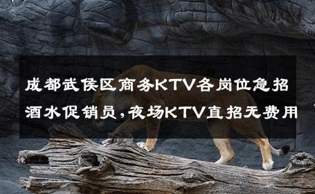 成都武侯区商务KTV各岗位急招酒水促销员,夜场KTV直招无费用