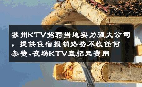 苏州KTV招聘当地实力强大公司，提供住宿报销路费不收任何杂费,夜场KTV直招无费用