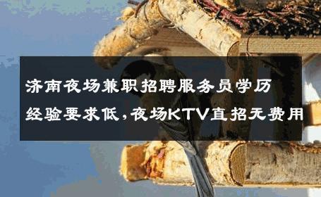济南夜场兼职招聘服务员学历经验要求低,夜场KTV直招无费用