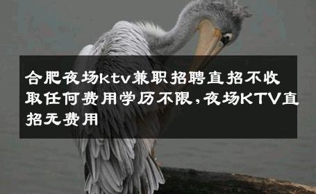 合肥夜场ktv兼职招聘直招不收取任何费用学历不限,夜场KTV直招无费用