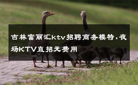 吉林富丽汇ktv招聘商务模特,夜场KTV直招无费用
