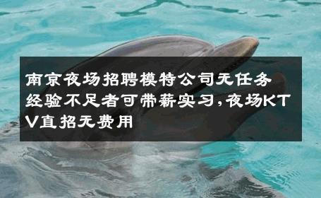 南京夜场招聘模特公司无任务经验不足者可带薪实习,夜场KTV直招无费用