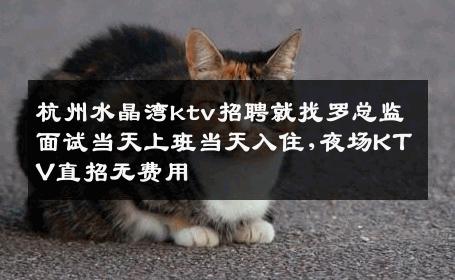 杭州水晶湾ktv招聘就找罗总监面试当天上班当天入住,夜场KTV直招无费用