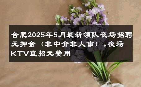 合肥2025年5月最新领队夜场招聘无押金（非中介非人事）,夜场KTV直招无费用
