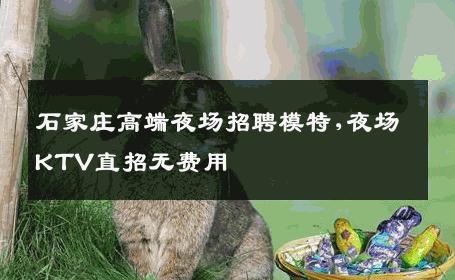 石家庄高端夜场招聘模特,夜场KTV直招无费用