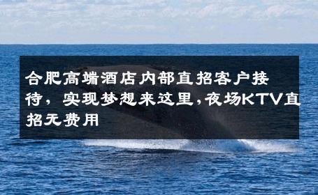 合肥高端酒店内部直招客户接待，实现梦想来这里,夜场KTV直招无费用