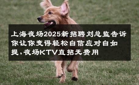 上海夜场2025新招聘刘总监告诉你让你变得轻松自信应对自如提,夜场KTV直招无费用