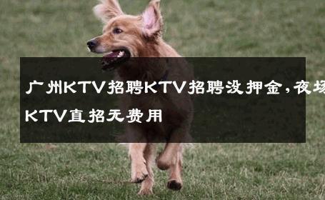 广州KTV招聘KTV招聘没押金,夜场KTV直招无费用