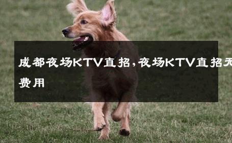 成都夜场KTV直招,夜场KTV直招无费用