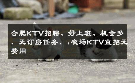 合肥KTV招聘、好上班、机会多、无订房任务、,夜场KTV直招无费用