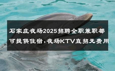 石家庄夜场2025招聘全职兼职都可提供住宿,夜场KTV直招无费用