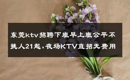 东莞ktv招聘下班早上班公平不挑人21起,夜场KTV直招无费用