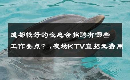 成都较好的夜总会招聘有哪些工作要点？,夜场KTV直招无费用