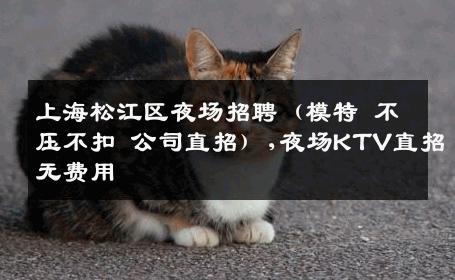 上海松江区夜场招聘（模特 不压不扣 公司直招）,夜场KTV直招无费用