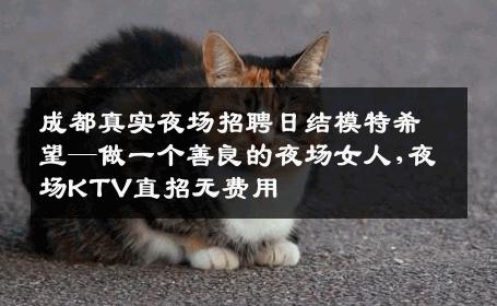 成都真实夜场招聘日结模特希望—做一个善良的夜场女人,夜场KTV直招无费用