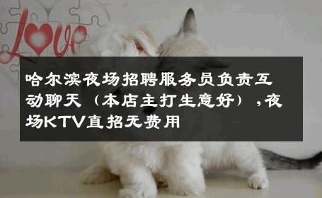 哈尔滨夜场招聘服务员负责互动聊天（本店主打生意好）,夜场KTV直招无费用