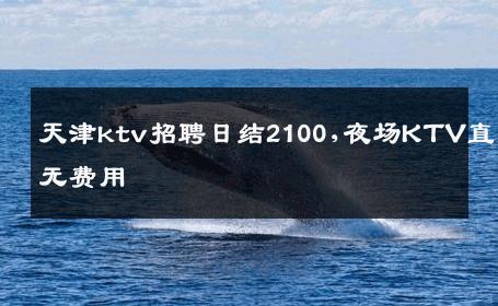 天津ktv招聘日结2100,夜场KTV直招无费用