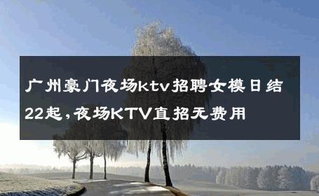广州豪门夜场ktv招聘女模日结22起,夜场KTV直招无费用