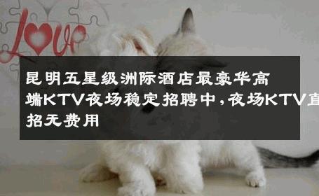 昆明五星级洲际酒店最豪华高端KTV夜场稳定招聘中,夜场KTV直招无费用