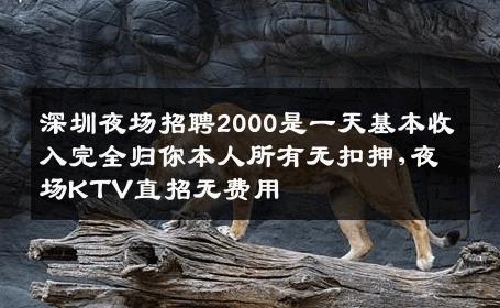 深圳夜场招聘2000是一天基本收入完全归你本人所有无扣押,夜场KTV直招无费用