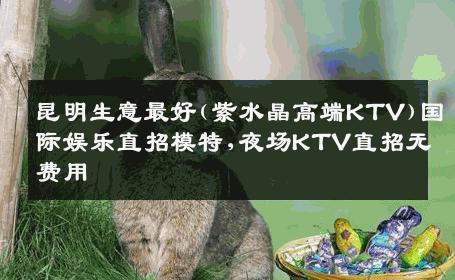 昆明生意最好(紫水晶高端KTV)国际娱乐直招模特,夜场KTV直招无费用