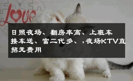 日照夜场、翻房率高、上班车接车送、富二代多、,夜场KTV直招无费用