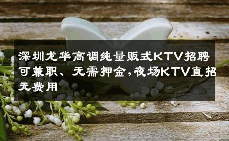 深圳龙华高调纯量贩式KTV招聘可兼职、无需押金,夜场KTV直招无费用