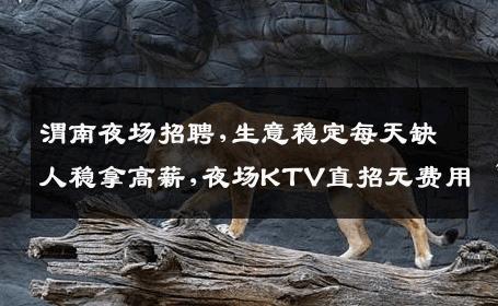 渭南夜场招聘,生意稳定每天缺人稳拿高薪,夜场KTV直招无费用