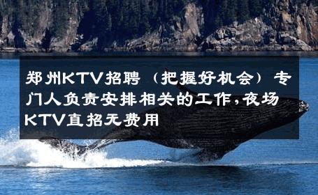 郑州KTV招聘（把握好机会）专门人负责安排相关的工作,夜场KTV直招无费用