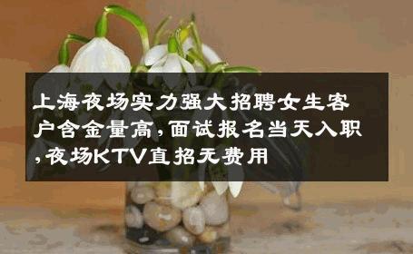 上海夜场实力强大招聘女生客户含金量高,面试报名当天入职,夜场KTV直招无费用