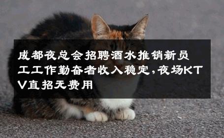 成都夜总会招聘酒水推销新员工工作勤奋者收入稳定,夜场KTV直招无费用
