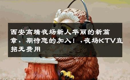 西安高端夜场新人华丽的新篇章，期待您的加入！,夜场KTV直招无费用