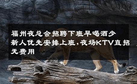 福州夜总会招聘下班早喝酒少新人优先安排上班,夜场KTV直招无费用
