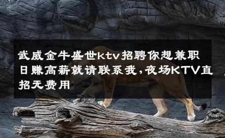 武威金牛盛世ktv招聘你想兼职日赚高薪就请联系我,夜场KTV直招无费用