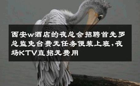 西安w酒店的夜总会招聘首先罗总监免台费无任务便装上班,夜场KTV直招无费用