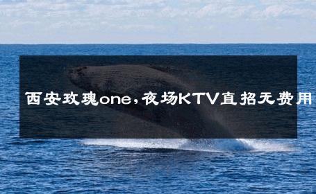 西安玫瑰one,夜场KTV直招无费用