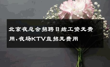 北京夜总会招聘日结工资无费用,夜场KTV直招无费用