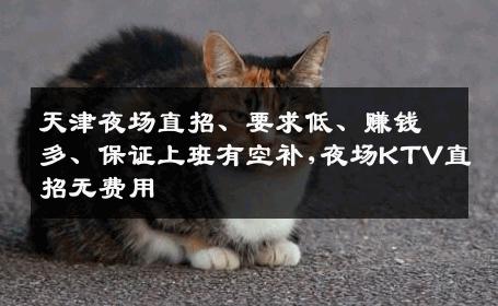 天津夜场直招、要求低、赚钱多、保证上班有空补,夜场KTV直招无费用