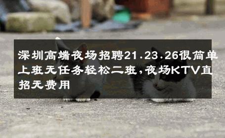 深圳高端夜场招聘21.23.26很简单上班无任务轻松二班,夜场KTV直招无费用